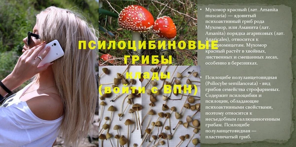 мяу мяу кристалл Краснослободск
