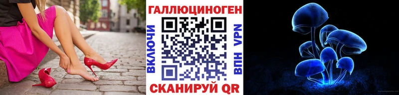 Купить где  Беломорск  Псилоцибиновые грибы Psilocybine cubensis 
