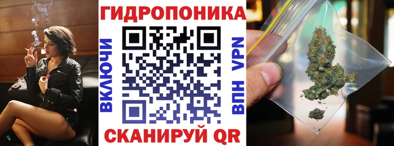 Шишки марихуана гибрид Беломорск