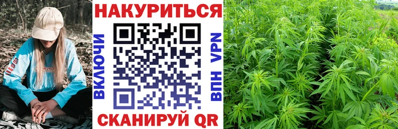 Купить где  Беломорск  МАРИХУАНА гибрид 